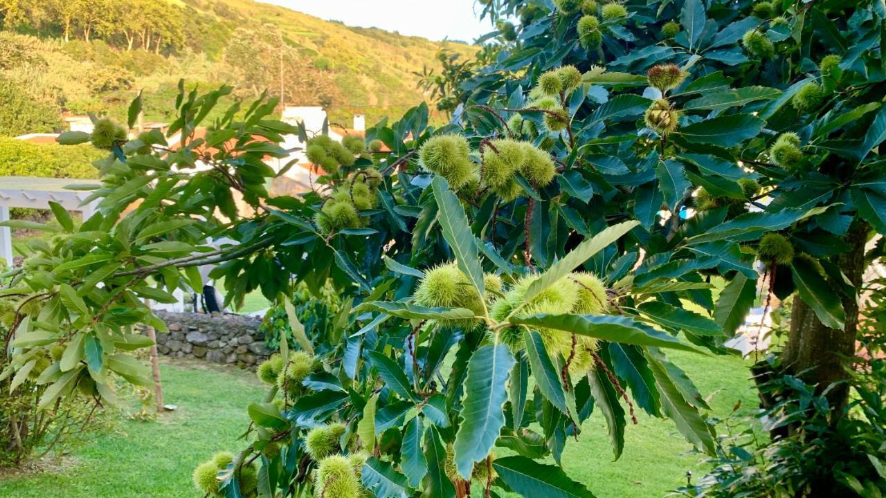 Casa Do Priolo - Villaverde Azores Feteiras المظهر الخارجي الصورة