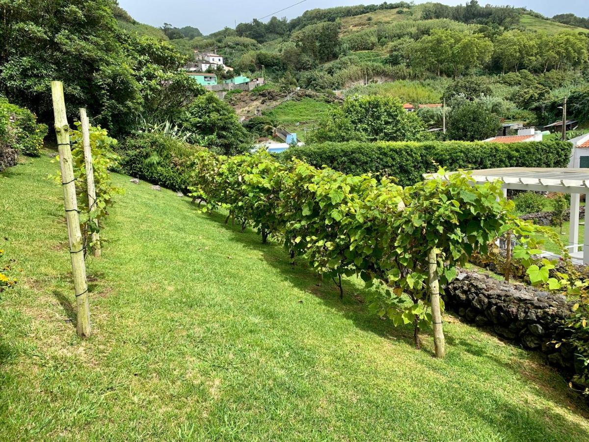 Casa Do Priolo - Villaverde Azores Feteiras المظهر الخارجي الصورة